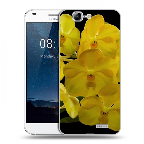 Дизайнерский пластиковый чехол для Huawei Ascend G7 Орхидеи