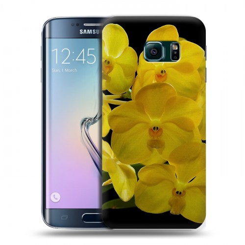 Дизайнерский пластиковый чехол для Samsung Galaxy S6 Edge Орхидеи