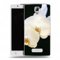 Дизайнерский пластиковый чехол для Lenovo A2010 Орхидеи