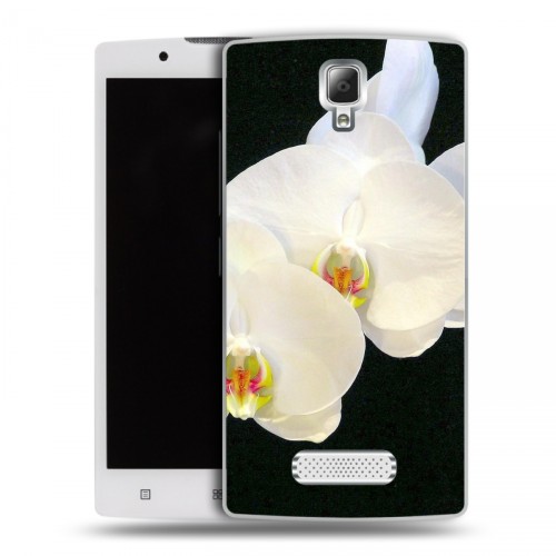 Дизайнерский пластиковый чехол для Lenovo A2010 Орхидеи