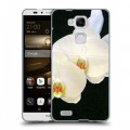 Дизайнерский силиконовый чехол для Huawei Ascend Mate 7 Орхидеи