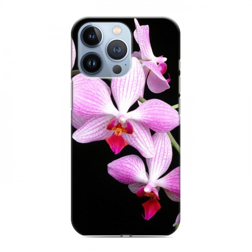 Дизайнерский силиконовый чехол для Iphone 13 Pro Орхидеи