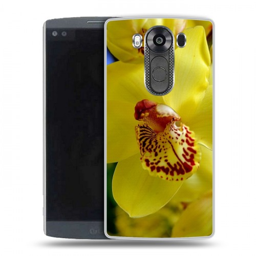 Дизайнерский пластиковый чехол для LG V10 Орхидеи