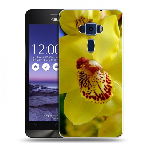 Дизайнерский пластиковый чехол для Asus ZenFone 3 5.2 Орхидеи