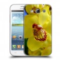 Дизайнерский пластиковый чехол для Samsung Galaxy Win Орхидеи
