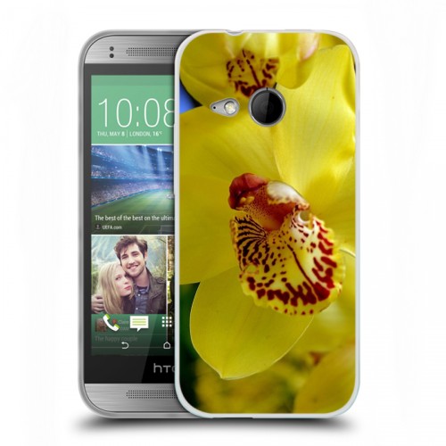 Дизайнерский пластиковый чехол для HTC One mini 2 Орхидеи