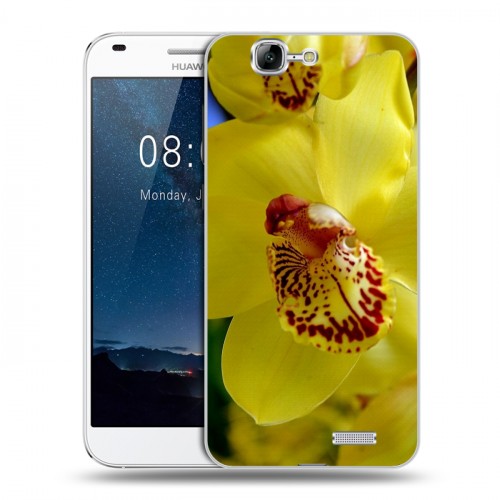 Дизайнерский пластиковый чехол для Huawei Ascend G7 Орхидеи