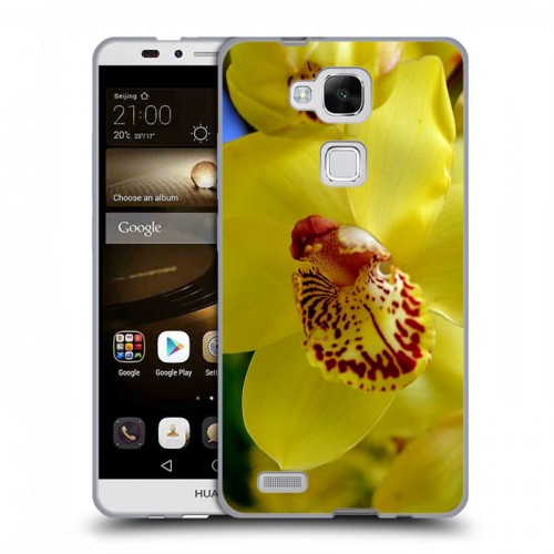 Дизайнерский пластиковый чехол для Huawei Ascend Mate 7 Орхидеи
