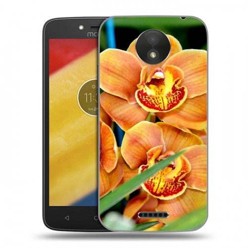 Дизайнерский пластиковый чехол для Motorola Moto C Plus Орхидеи