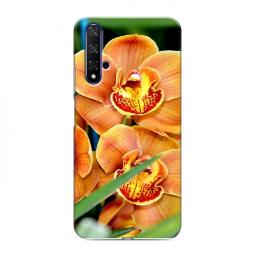 Дизайнерский силиконовый чехол для Huawei Honor 20 Орхидеи
