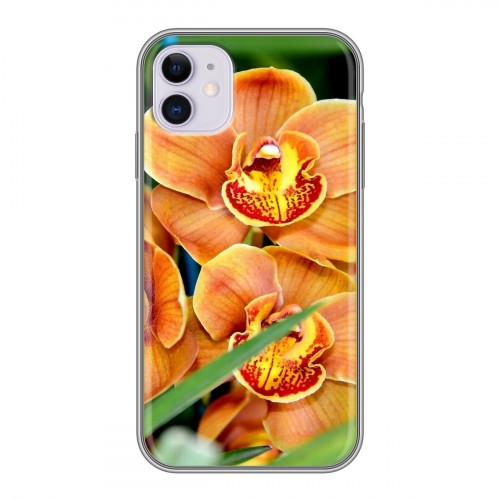 Дизайнерский пластиковый чехол для Iphone 11 Орхидеи