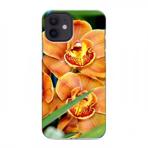 Дизайнерский силиконовый чехол для Iphone 12 Орхидеи
