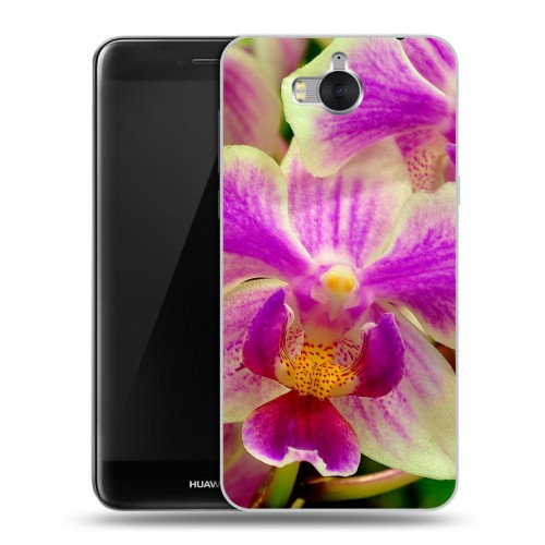 Дизайнерский пластиковый чехол для Huawei Y5 (2017) Орхидеи