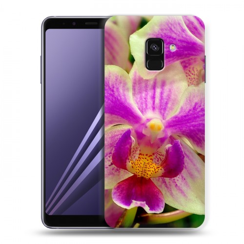 Дизайнерский пластиковый чехол для Samsung Galaxy A8 (2018) Орхидеи