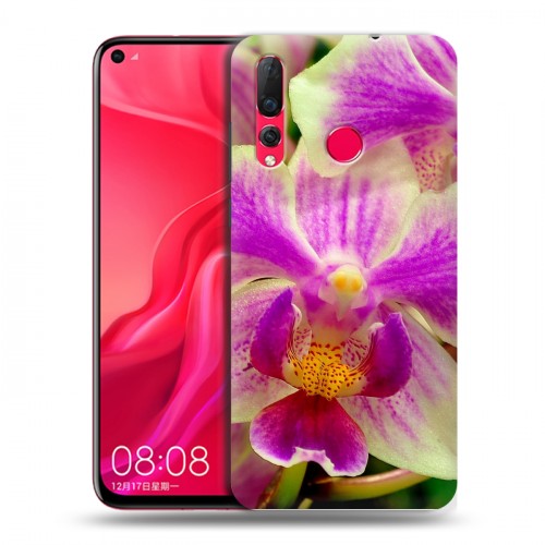 Дизайнерский пластиковый чехол для Huawei Nova 4 Орхидеи