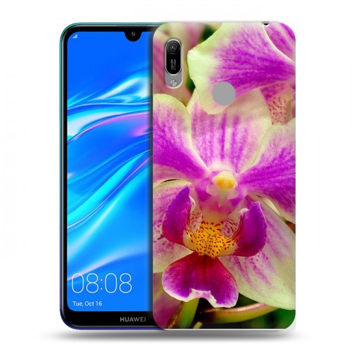 Дизайнерский пластиковый чехол для Huawei Y6 (2019) Орхидеи