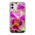 Дизайнерский силиконовый чехол для Iphone 11 Орхидеи