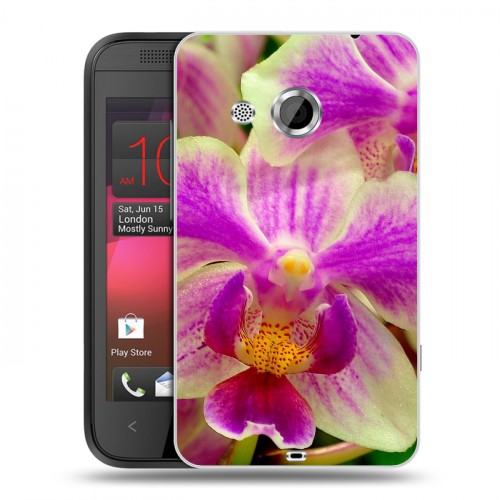 Дизайнерский пластиковый чехол для HTC Desire 200 Орхидеи