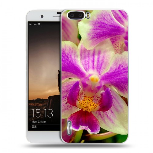 Дизайнерский пластиковый чехол для Huawei Honor 6 Plus Орхидеи