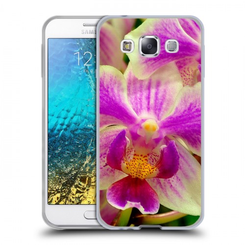 Дизайнерский пластиковый чехол для Samsung Galaxy E5 Орхидеи
