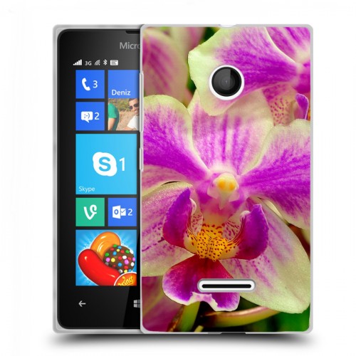 Дизайнерский пластиковый чехол для Microsoft Lumia 435 Орхидеи