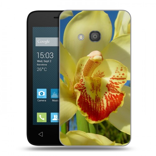Дизайнерский пластиковый чехол для Alcatel One Touch Pixi 4 (4) Орхидеи