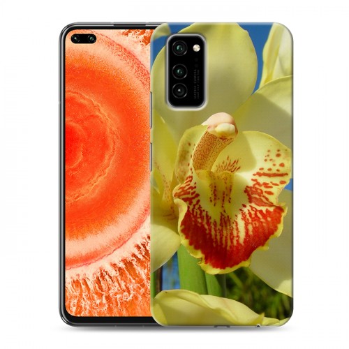 Дизайнерский пластиковый чехол для Huawei Honor View 30 Pro Орхидеи