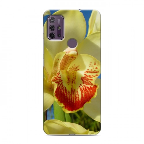 Дизайнерский силиконовый чехол для Lenovo K13 Note Орхидеи