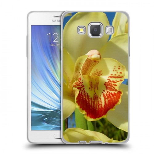 Дизайнерский пластиковый чехол для Samsung Galaxy A5 Орхидеи