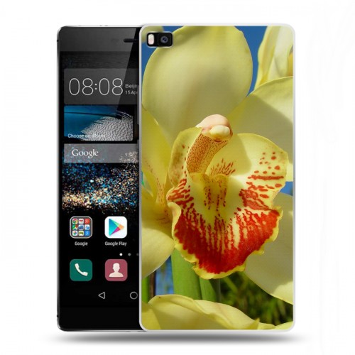 Дизайнерский пластиковый чехол для Huawei P8 Орхидеи