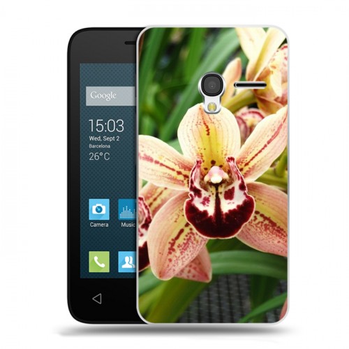 Дизайнерский пластиковый чехол для Alcatel One Touch Pixi 3 (4.5) Орхидеи