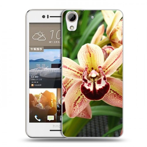 Дизайнерский пластиковый чехол для HTC Desire 728 Орхидеи
