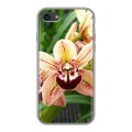 Дизайнерский силиконовый с усиленными углами чехол для Iphone 7 Орхидеи