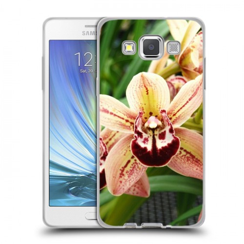 Дизайнерский пластиковый чехол для Samsung Galaxy A5 Орхидеи