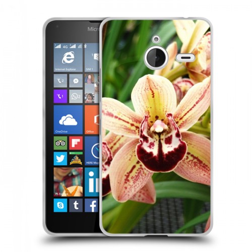 Дизайнерский пластиковый чехол для Microsoft Lumia 640 XL Орхидеи