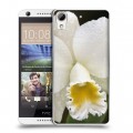 Дизайнерский пластиковый чехол для HTC Desire 626 Орхидеи