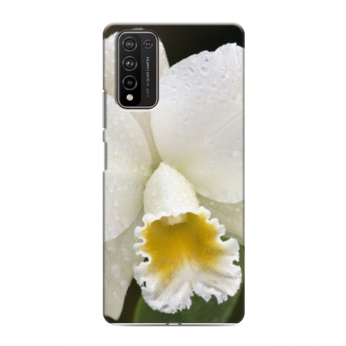 Дизайнерский пластиковый чехол для Huawei Honor 10X Lite Орхидеи