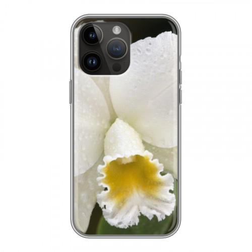 Дизайнерский силиконовый с усиленными углами чехол для Iphone 14 Pro Max Орхидеи