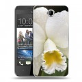 Дизайнерский пластиковый чехол для HTC Desire 300 Орхидеи