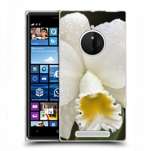 Дизайнерский пластиковый чехол для Nokia Lumia 830 Орхидеи