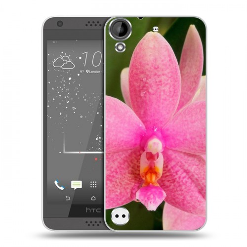 Дизайнерский пластиковый чехол для HTC Desire 530 Орхидеи