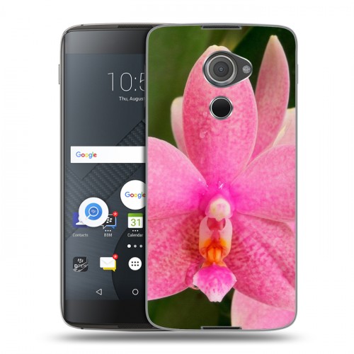 Дизайнерский пластиковый чехол для Blackberry DTEK60 Орхидеи