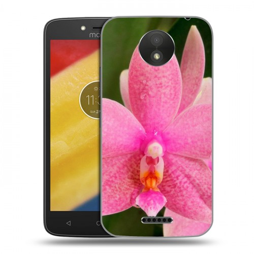 Дизайнерский пластиковый чехол для Motorola Moto C Plus Орхидеи