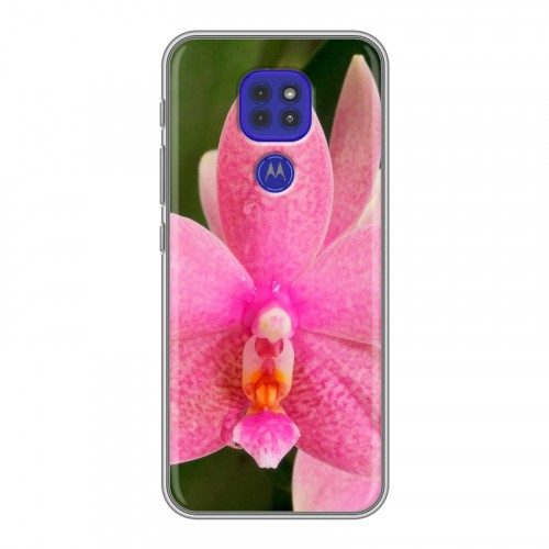 Дизайнерский силиконовый чехол для Motorola Moto G9 Play Орхидеи
