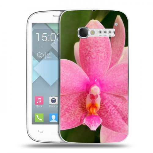 Дизайнерский пластиковый чехол для Alcatel One Touch Pop C5 Орхидеи