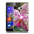 Дизайнерский пластиковый чехол для Microsoft Lumia 540 Орхидеи