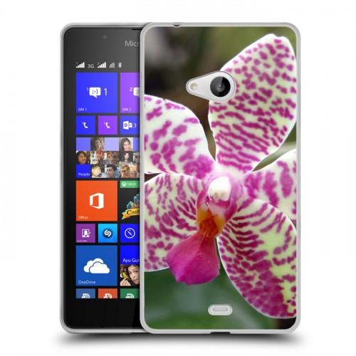 Дизайнерский пластиковый чехол для Microsoft Lumia 540 Орхидеи