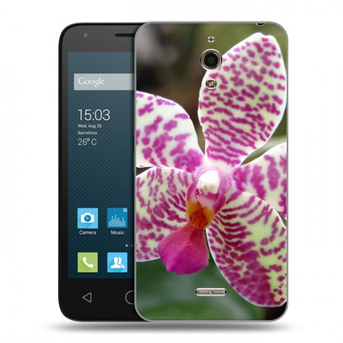Дизайнерский силиконовый чехол для Alcatel One Touch Pixi 4 (6) Орхидеи