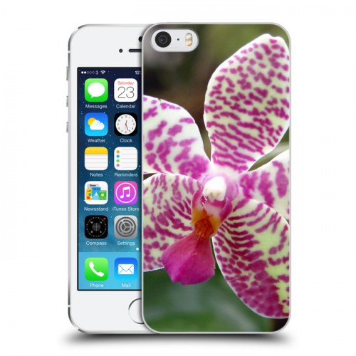 Дизайнерский пластиковый чехол для Iphone 5s Орхидеи