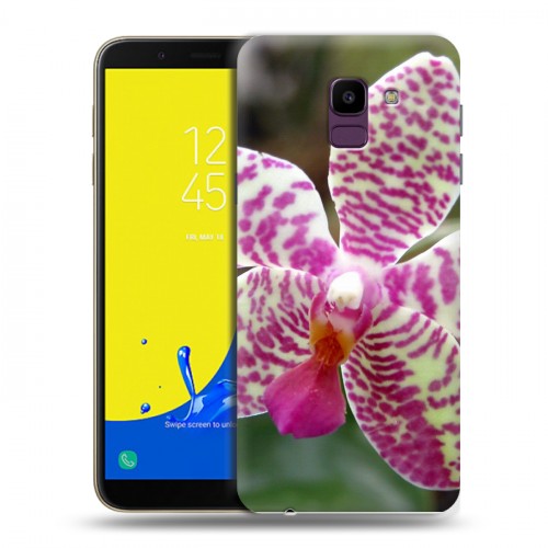 Дизайнерский пластиковый чехол для Samsung Galaxy J6 Орхидеи